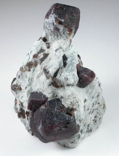 Almandine Garnet with Staurolite from Green's Farm, 750 m. ESE of Roxbury Falls, Roxbury, New Haven County, Connecticut