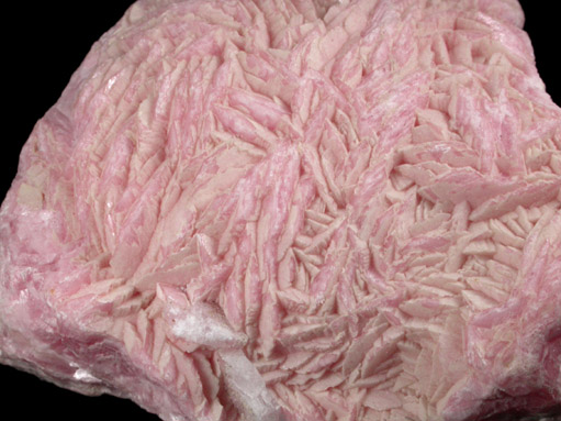 Rhodochrosite from Capillitas Mine, Catamarca, Argentina