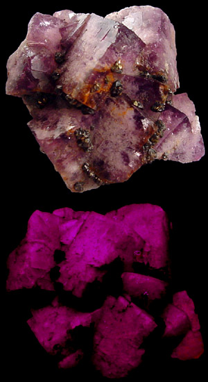 Fluorite with Chalcopyrite, Sphalerite from Westmoreland, England