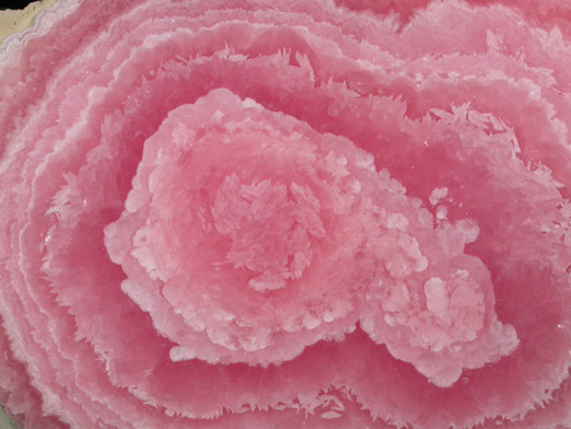 Rhodochrosite from Capillitas Mine, Catamarca, Argentina