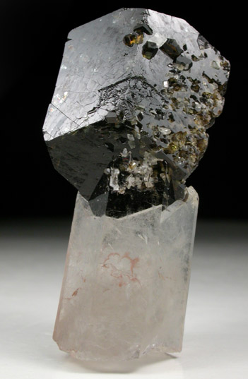 Uvite Tourmaline on Quartz with Magnesite from Brumado District, Serra das guas, Bahia, Brazil