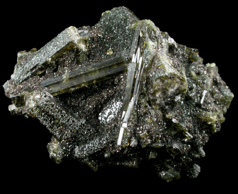 Epidote in Chlorite from Acushnet Quarry, Bristol County, Massachusetts