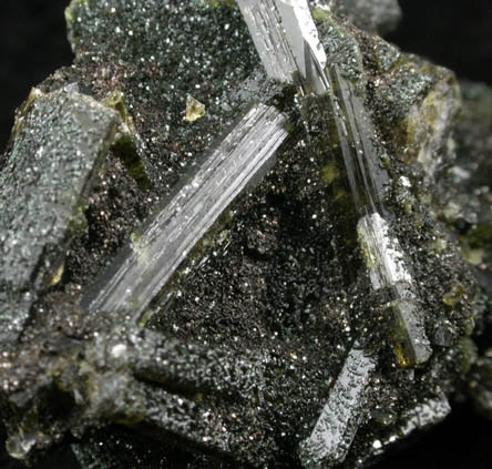 Epidote in Chlorite from Acushnet Quarry, Bristol County, Massachusetts
