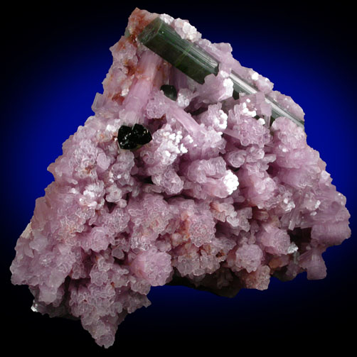 Elbaite Tourmaline in Lepidolite from Urupuca (Uru Pua) Mine, Minas Gerais, Brazil