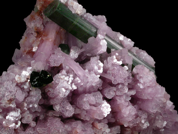 Elbaite Tourmaline in Lepidolite from Urupuca (Uru Pua) Mine, Minas Gerais, Brazil