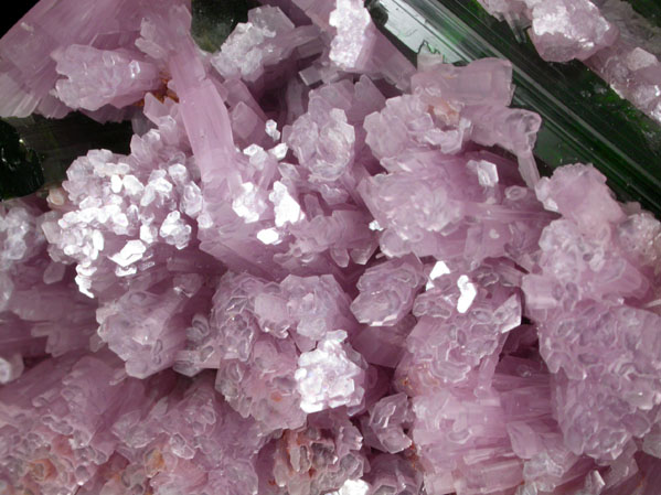 Elbaite Tourmaline in Lepidolite from Urupuca (Uru Pua) Mine, Minas Gerais, Brazil