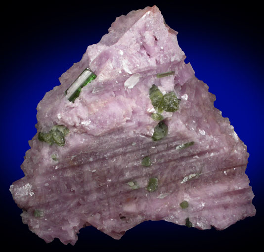 Elbaite Tourmaline in Lepidolite from Urupuca (Uru Pua) Mine, Minas Gerais, Brazil