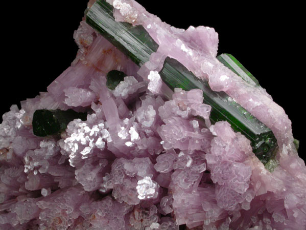 Elbaite Tourmaline in Lepidolite from Urupuca (Uru Pua) Mine, Minas Gerais, Brazil