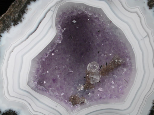 Quartz var. Amethyst Geode with Calcite from Carrillo Ranch, Chihuahua, Mexico