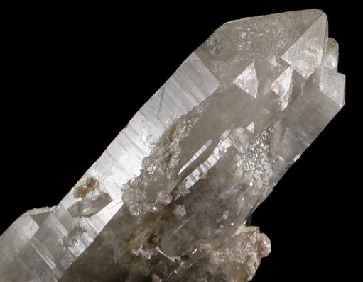 Quartz var. Smoky with Muscovite from Mount Rubellite, Hebron, Oxford County, Maine