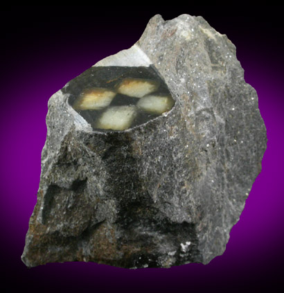 Andalusite var. Chiastolite from Lancaster, Worcester County, Massachusetts