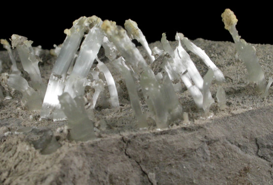 Gypsum from Texas