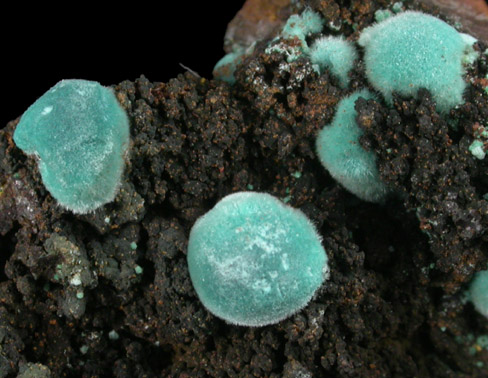 Rosasite from Mina Ojuela, Mapimi, Durango, Mexico