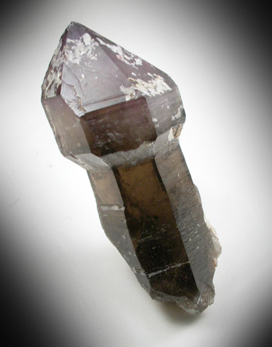 Quartz var. Amethyst-Smoky (scepter-shaped formation) from Ossipee Gulch (Raccoon Gulch), Folsom Brook, Center Ossipee, Carroll County, New Hampshire