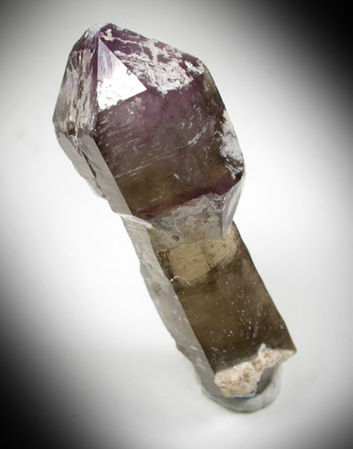 Quartz var. Amethyst-Smoky (scepter-shaped formation) from Ossipee Gulch (Raccoon Gulch), Folsom Brook, Center Ossipee, Carroll County, New Hampshire