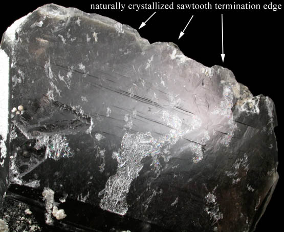 Quartz var. Smoky with Muscovite from Gillette Quarry, Haddam Neck, Middlesex County, Connecticut