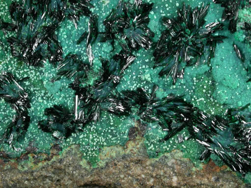 Atacamite on Chrysocolla with Halloysite from Mina la Farola, Copiapo, Atacama Desert, Chile (Type Locality for Atacamite)