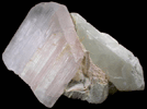 Spodumene var. Kunzite on Quartz from Nuristan Province, Afghanistan