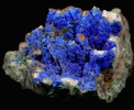 Azurite on Quartz from Manto Cuba Mine, Inca de Oro, Chile