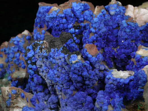 Azurite on Quartz from Manto Cuba Mine, Inca de Oro, Chile