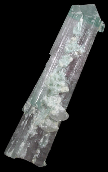 Elbaite Tourmaline with Quartz from Nuristan, Afghanistan