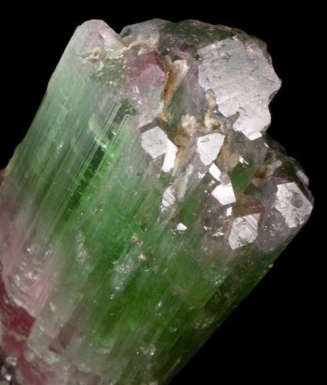 Elbaite Tourmaline from Pech, Kunar Province, Afghanistan