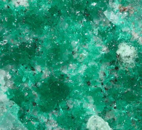 Dioptase from Christmas Mine, Banner District, Gila County, Arizona