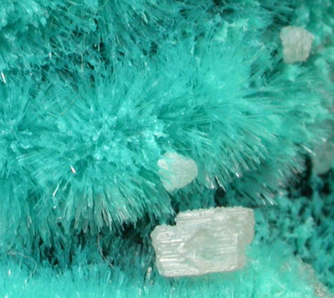 Aurichalcite with Cerussite from 79 Mine, Banner District, near Hayden, Gila County, Arizona