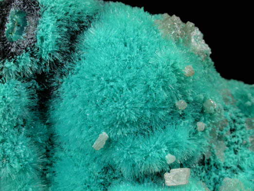 Aurichalcite with Cerussite from 79 Mine, Banner District, near Hayden, Gila County, Arizona