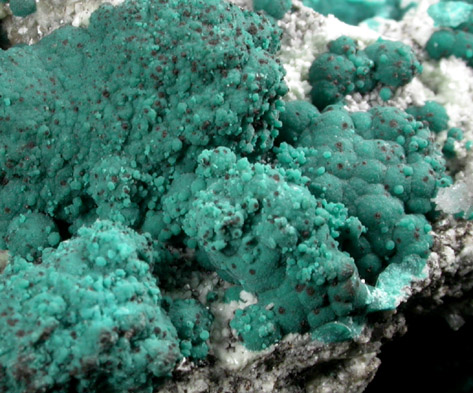 Rosasite, Smithsonite, Hemimorphite from 79 Mine, Banner District, near Hayden, Gila County, Arizona