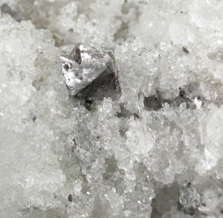 Scheelite on Quartz from Camp Bird Mine, Ouray County, Colorado