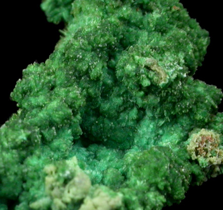 Malachite from Hansonburg District, 8.5 km south of Bingham, Socorro County, New Mexico