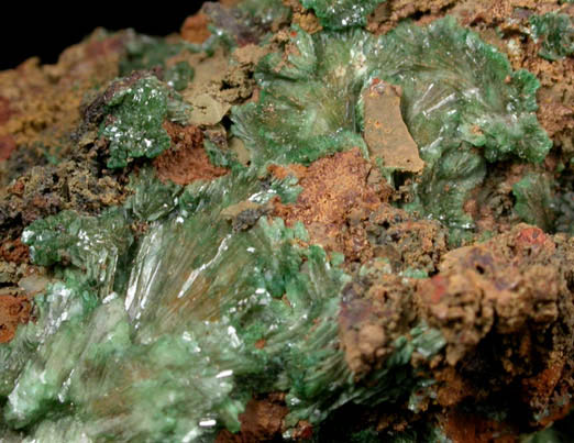 Adamite var. Cuproadamite from Lavrion (Laurium) Mining District, Attica Peninsula, Greece