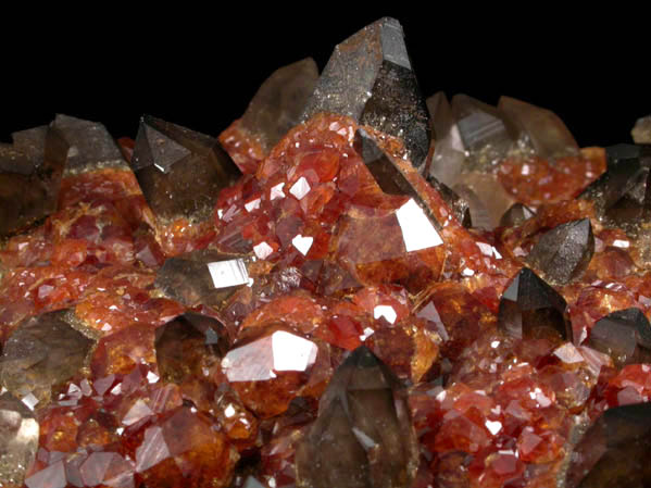 Spessartine Garnet on Smoky Quartz and Microcline from Wushan Spessartine Mine, Tongbei-Yunling District, Fujian Province, China