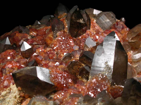 Spessartine Garnet on Smoky Quartz and Microcline from Wushan Spessartine Mine, Tongbei-Yunling District, Fujian Province, China