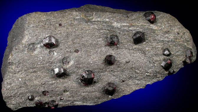 Almandine Garnet in schist from Bella Vista Claim, Mitkof Island, Alaska