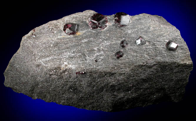 Almandine Garnet in schist from Bella Vista Claim, Mitkof Island, Alaska