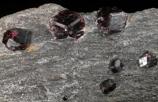 Almandine Garnet in schist from Bella Vista Claim, Mitkof Island, Alaska