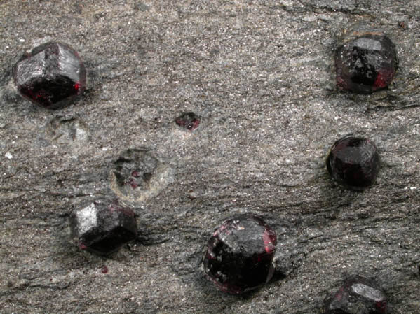 Almandine Garnet in schist from Bella Vista Claim, Mitkof Island, Alaska