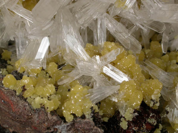 Hemimorphite and Mimetite from Mina Ojuela, San Judas Vein, Level 17, Mapimi, Durango, Mexico