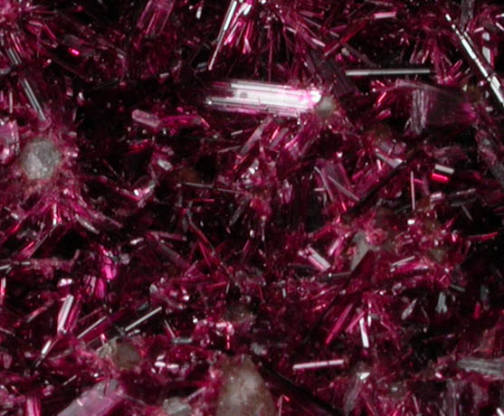 Erythrite from Bou Azzer District, Anti-Atlas Mountains, Tazenakht, Ouarzazate, Morocco (Type Locality for Erythrite)