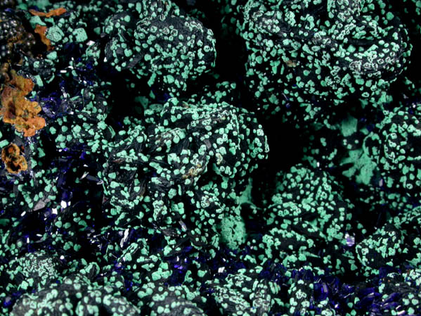 Azurite with Malachite pseudomorphs after Cuprite from Bisbee, Warren District, Cochise County, Arizona