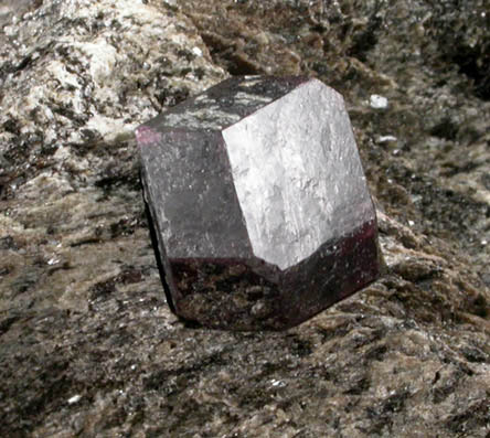 Almandine Garnet in schist from Pond Hill, near Pearl Lake, Lisbon, Grafton County, New Hampshire