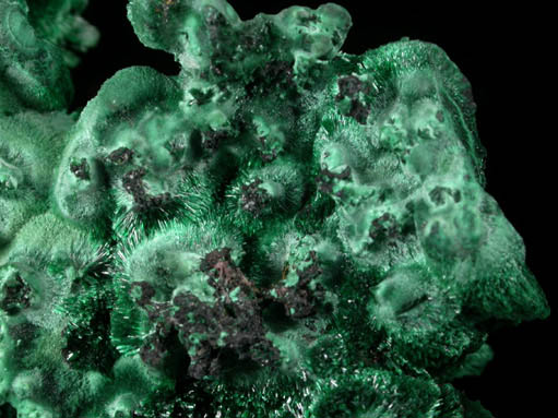 Malachite from Katanga Copperbelt, Lualaba Province, Democratic Republic of the Congo