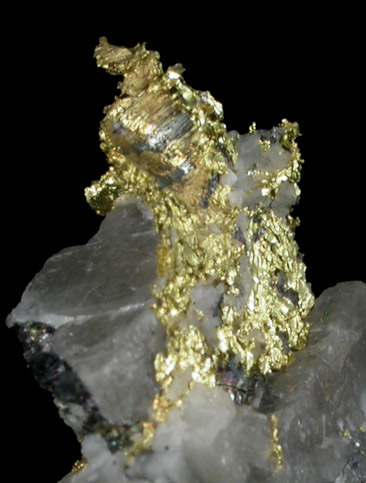 Gold in Quartz from Glory Hole Mine, Angel's Camp, Calaveras County, California