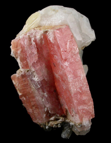 Analcime, Natrolite, Serandite, Rhodochrosite from Poudrette Quarry (Demix Quarry), Mont Saint-Hilaire, Qubec, Canada