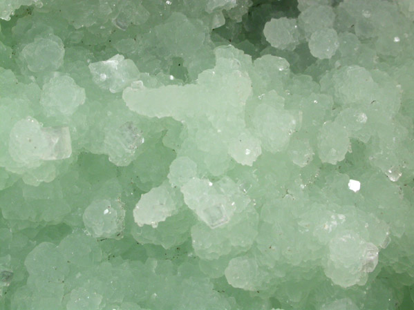 Prehnite with Hydroxyapophyllite-(K) (formerly apophyllite-(KOH)) and Actinolite var. Byssolite from Fairfax Quarry, 6.4 km west of Centreville, Fairfax County, Virginia