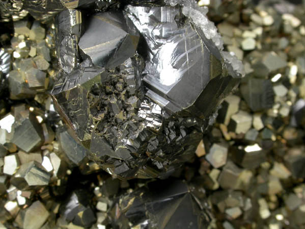 Sphalerite and Pyrite from Noche Buena, Zacatecas, Mexico