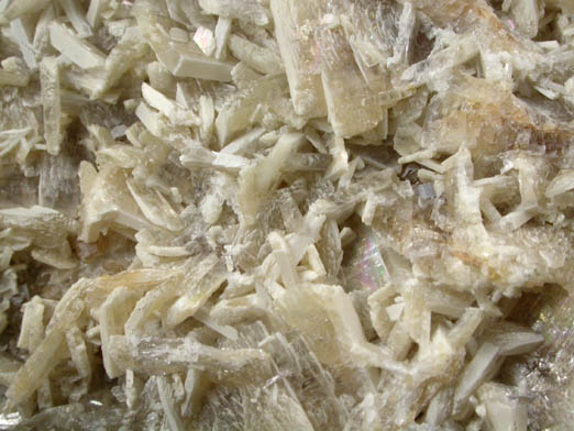 Fairfieldite on Fluorapatite from Foote Mine, King's Mountain, Cleveland County, North Carolina