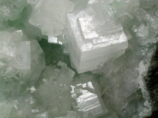 Hydroxyapophyllite-(K) (formerly apophyllite-(KOH)) on Prehnite from Fairfax Quarry, 6.4 km west of Centreville, Fairfax County, Virginia